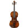 Paesold AS-160V 4/4 violin (set)