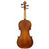 Paesold AS-160V 4/4 violin (set)