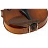 Paesold AS-160V 4/4 violin (set)