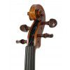 Paesold AS-160V 4/4 violin (set)