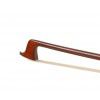 Paesold AS-160V 4/4 violin (set)