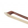 Paesold AS-160V 4/4 violin (set)
