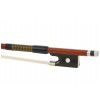 Paesold AS-160V 4/4 violin (set)