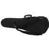 Paesold AS-160V 4/4 violin (set)