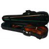 Paesold AS-160V 4/4 violin (set)
