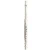 Trevor James 3011-ECD Flute with Case + curved head