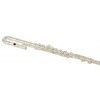 Trevor James 3011-ECD Flute with Case + curved head