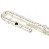 Trevor James 3011-ECD Flute with Case + curved head