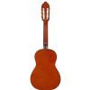 Valencia CG-160-14 Classical guitar 1/4