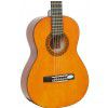 Valencia CG-160-14 Classical guitar 1/4