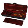 Hoefner AS-160V 4/4 violin (set with an oblong case)