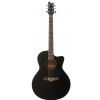 T.Burton Maiden  J C BK acoustic guitar