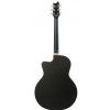 T.Burton Maiden  J C BK acoustic guitar