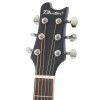 T.Burton Maiden  J C BK acoustic guitar