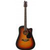 T.Burton Maiden W C BS acoustic guitar
