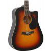 T.Burton Maiden W C BS acoustic guitar