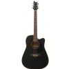 T.Burton Queen W CE BK acoustic guitar with EQ