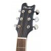 T.Burton Queen W CE BK acoustic guitar with EQ