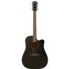 T.Burton Raven Cutaway acoustic guitar