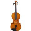 Paesold PA802 4/4 violin ″College″ (set) Paesold PA802 4/4 violin ″College″ (set)