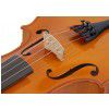 Paesold PA802 4/4 violin ″College″ (set) Paesold PA802 4/4 violin ″College″ (set)