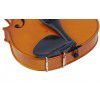Paesold PA802 4/4 violin ″College″ (set) Paesold PA802 4/4 violin ″College″ (set)