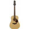 Samick D2-12 N acoustic guitar