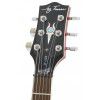 Jay Turser JT220 CS electric guitar