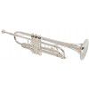 Roy Benson TR 202S Bb trumpet, silvered (with case)