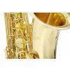 Roy Benson  TS-302 Bb-Tenor Saxophone