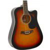 T.Burton Riverside W C BS acoustic guitar