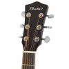 T.Burton Riverside W C BS acoustic guitar