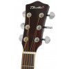 T.Burton Riverside W CE BS electric acoustic guitar