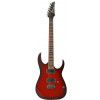 Ibanez RG-321MH BBS electric guitar