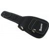 Ibanez RG-321MH BBS electric guitar