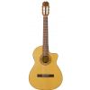 Alvaro 800EC Electro-Classical Guitar