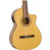 Alvaro 800EC Electro-Classical Guitar