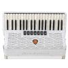 Paolo_Soprani Studio 96 37/3/7 96/5/4 accordion (pearl white)