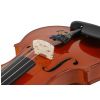 Verona Violin FT-V11 ?