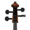 Strunal 4/17WE Cello 4/4