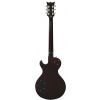 DBZ Bolero FM VN Vintage Natural electric guitars