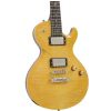 DBZ Bolero FM VN Vintage Natural electric guitars