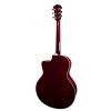 T.Burton Riverside acoustic guitar