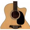 T.Burton Riverside acoustic guitar