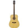 Eko Laredo FL Eq Isy 301 electric-acustic guitar