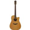 Furch D42 CR CUT PRESYS acoustic guitar