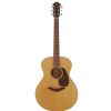Furch G20-CM acoustic guitar