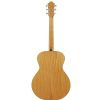 Furch G20-CM acoustic guitar