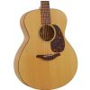 Furch G20-CM acoustic guitar