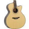 Furch S25-SR Cut acoustic guitar